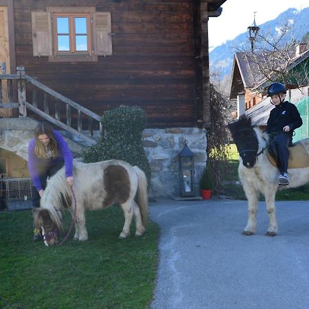 Ferienhaus Bognerhof Sankt Veit im Pongau Exteriér fotografie